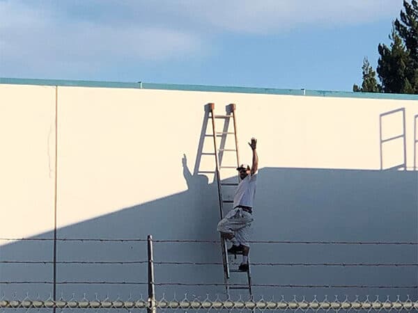 Painter on a ladder applying a light-colored finish to a commercial exterior wall.